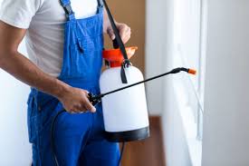 Best Residential Pest Control  in Morse, LA